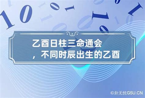 乙酉日柱|日柱论命——乙酉日柱详细解读